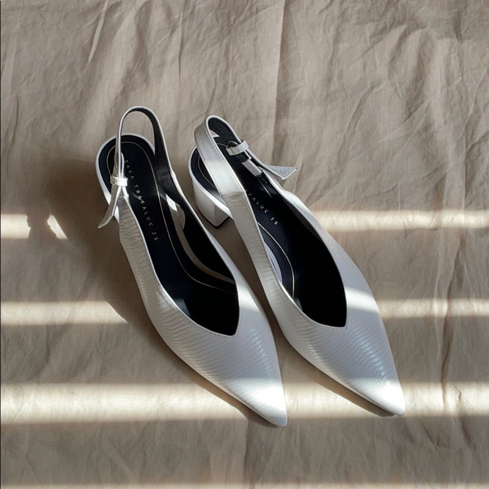 Zara Pointed Toe sling backs